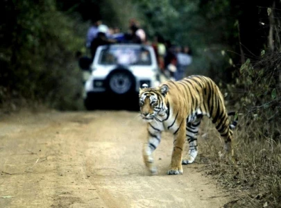 Camera traps, drones intended for wildlife monitoring exploited to harass women in India