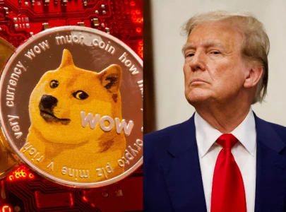 Bitcoin drops below $80,000 as $1 trillion crypto crash deepens under Trump